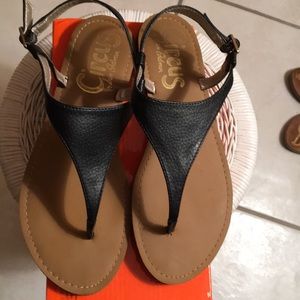 NEW SAM EDELMAN CIRCUS BIANCA BLACK THONG SANDALS